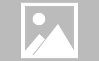 黄山网页设计师周记（网页设计周记26篇300字）